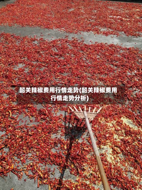 韶关辣椒费用行情走势(韶关辣椒费用行情走势分析)