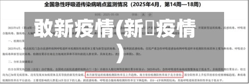 敢新疫情(新宼疫情)