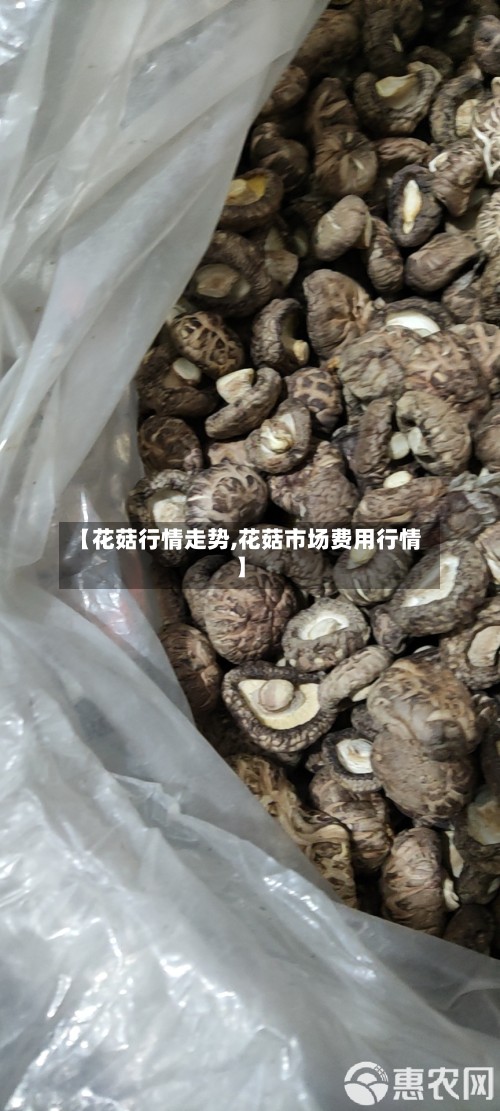 【花菇行情走势,花菇市场费用行情】