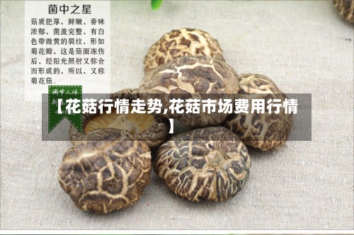 【花菇行情走势,花菇市场费用行情】-第2张图片