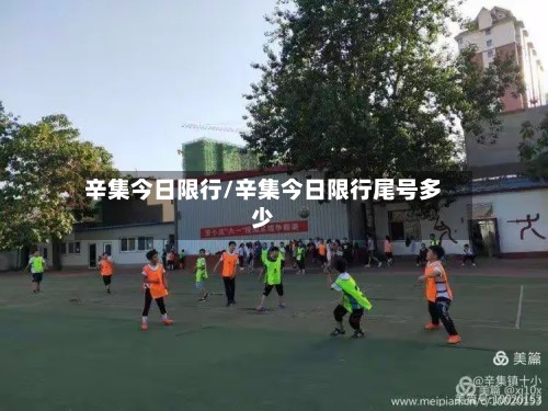 辛集今日限行/辛集今日限行尾号多少-第2张图片