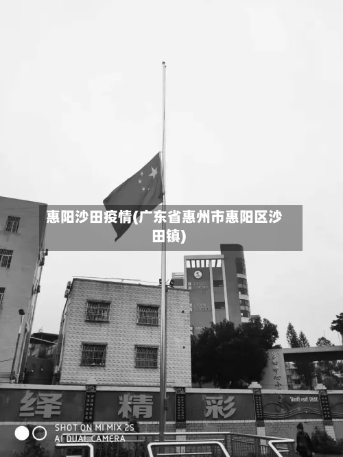 惠阳沙田疫情(广东省惠州市惠阳区沙田镇)-第3张图片