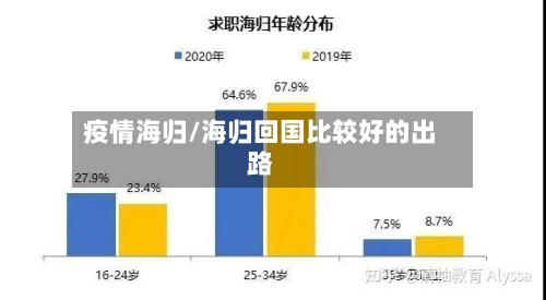 疫情海归/海归回国比较好的出路