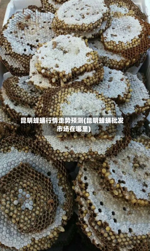 昆明蜂蛹行情走势预测(昆明蜂蛹批发市场在哪里)-第2张图片