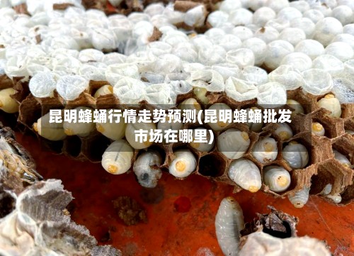 昆明蜂蛹行情走势预测(昆明蜂蛹批发市场在哪里)