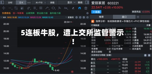 5连板牛股，遭上交所监管警示！-第2张图片