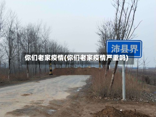 你们老家疫情(你们老家疫情严重吗)