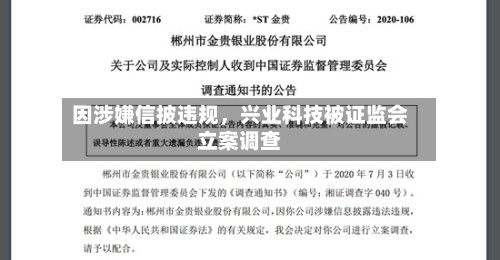 因涉嫌信披违规，兴业科技被证监会立案调查-第3张图片