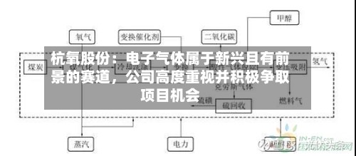 杭氧股份：电子气体属于新兴且有前景的赛道	，公司高度重视并积极争取项目机会-第2张图片