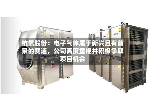 杭氧股份：电子气体属于新兴且有前景的赛道，公司高度重视并积极争取项目机会-第3张图片