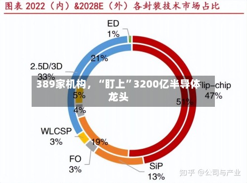 389家机构，“盯上	”3200亿半导体龙头-第2张图片