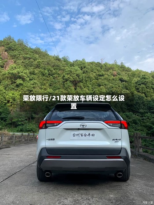 荣放限行/21款荣放车辆设定怎么设置-第2张图片