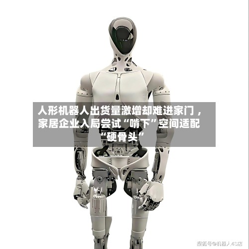 人形机器人出货量激增却难进家门 ，家居企业入局尝试“啃下”空间适配“硬骨头	”-第2张图片
