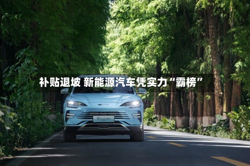 补贴退坡 新能源汽车凭实力“霸榜”-第3张图片