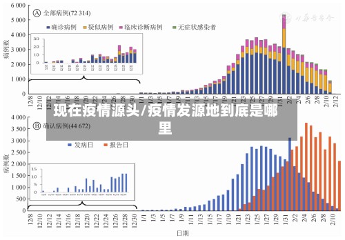 现在疫情源头/疫情发源地到底是哪里-第2张图片