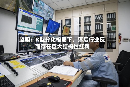 赵明：K型分化格局下	，落后行业反而存在巨大结构性红利-第3张图片