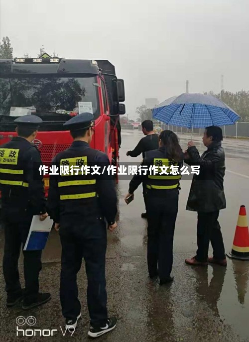 作业限行作文/作业限行作文怎么写