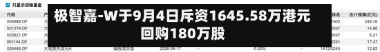 极智嘉-W于9月4日斥资1645.58万港元回购180万股-第2张图片
