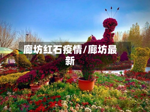 廊坊红石疫情/廊坊最新-第2张图片