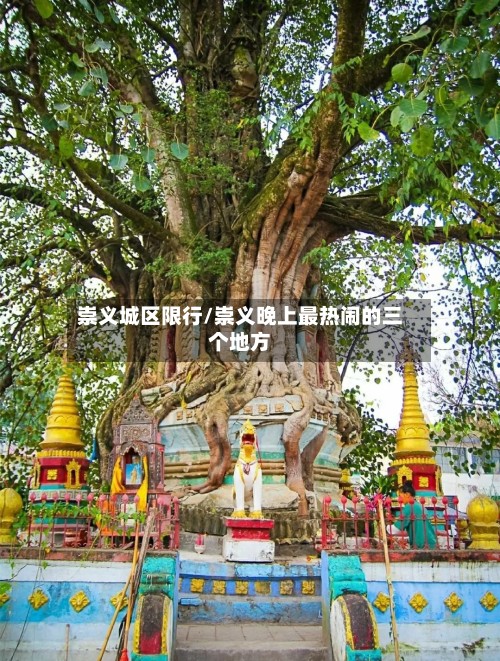 崇义城区限行/崇义晚上最热闹的三个地方