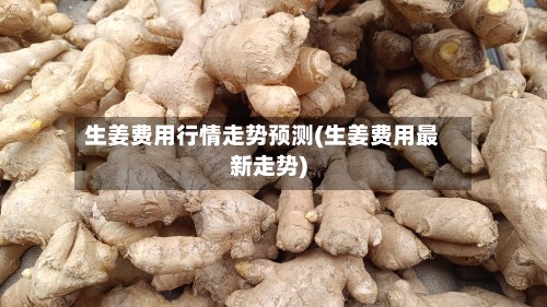 生姜费用行情走势预测(生姜费用最新走势)