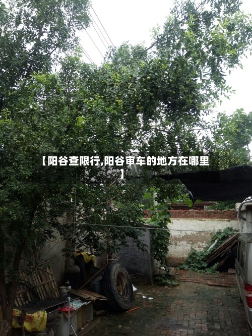 【阳谷查限行,阳谷审车的地方在哪里】