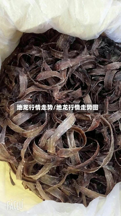 地龙行情走势/地龙行情走势图