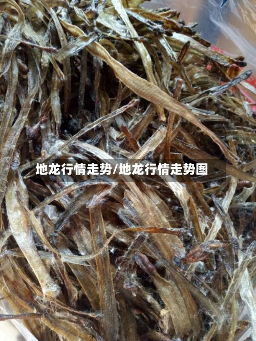 地龙行情走势/地龙行情走势图-第2张图片