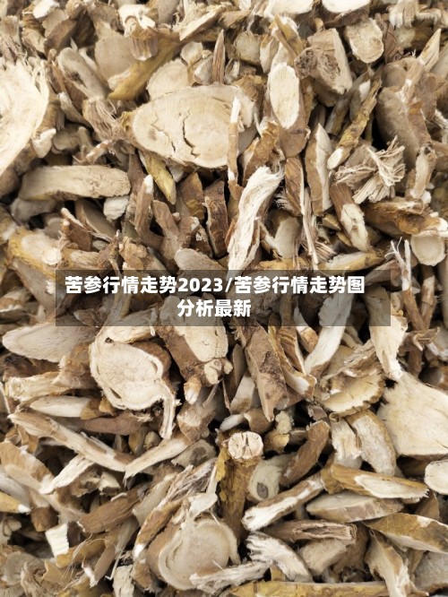 苦参行情走势2023/苦参行情走势图分析最新-第2张图片