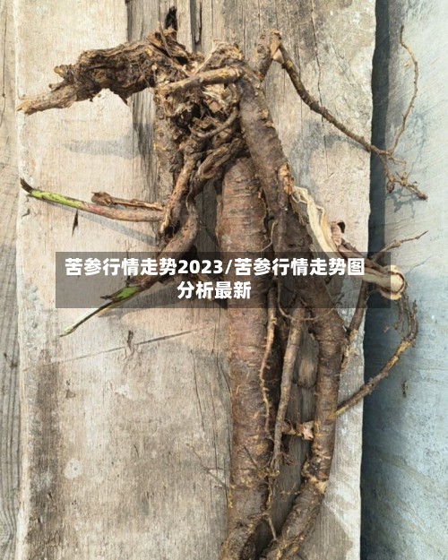 苦参行情走势2023/苦参行情走势图分析最新-第3张图片