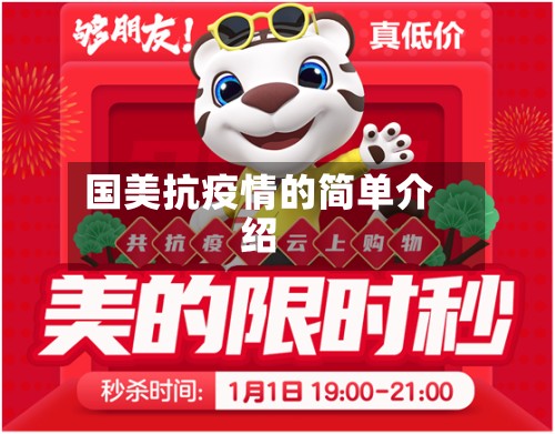 国美抗疫情的简单介绍