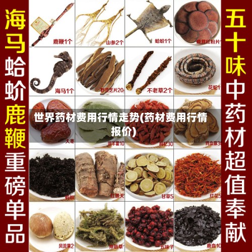 世界药材费用行情走势(药材费用行情报价)