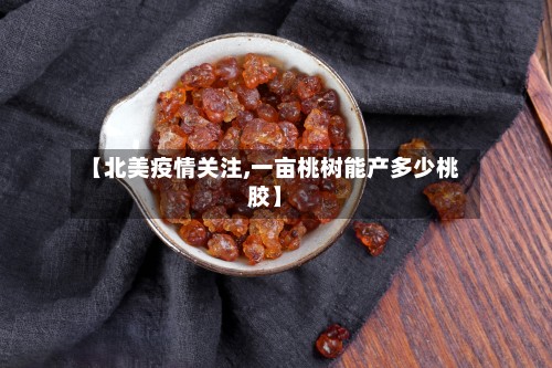 【北美疫情关注,一亩桃树能产多少桃胶】