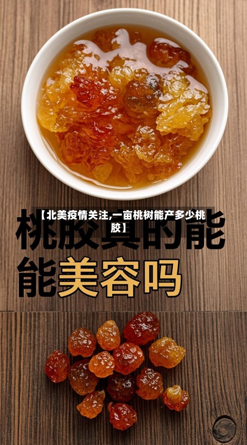 【北美疫情关注,一亩桃树能产多少桃胶】-第3张图片
