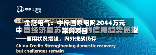金冠电气:中标国家电网2044万元采购项目