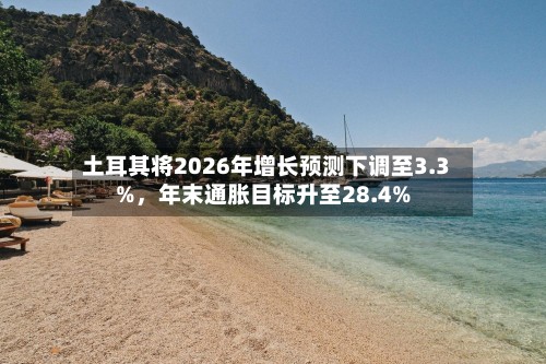 土耳其将2026年增长预测下调至3.3%，年末通胀目标升至28.4%-第2张图片