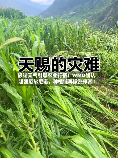 极端天气引爆农业行情！WMO确认超强厄尔尼诺	，种植链再掀涨停潮！-第2张图片