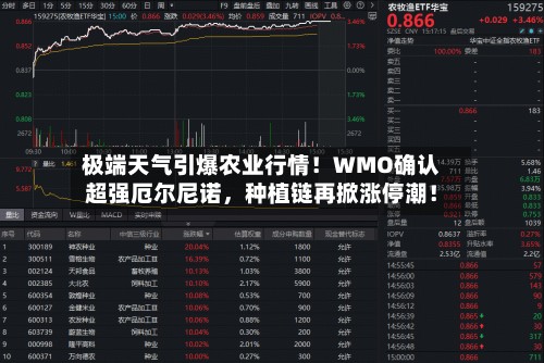 极端天气引爆农业行情！WMO确认超强厄尔尼诺，种植链再掀涨停潮！-第3张图片
