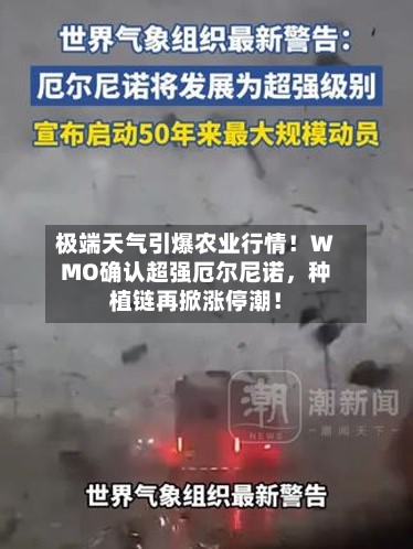 极端天气引爆农业行情！WMO确认超强厄尔尼诺，种植链再掀涨停潮！