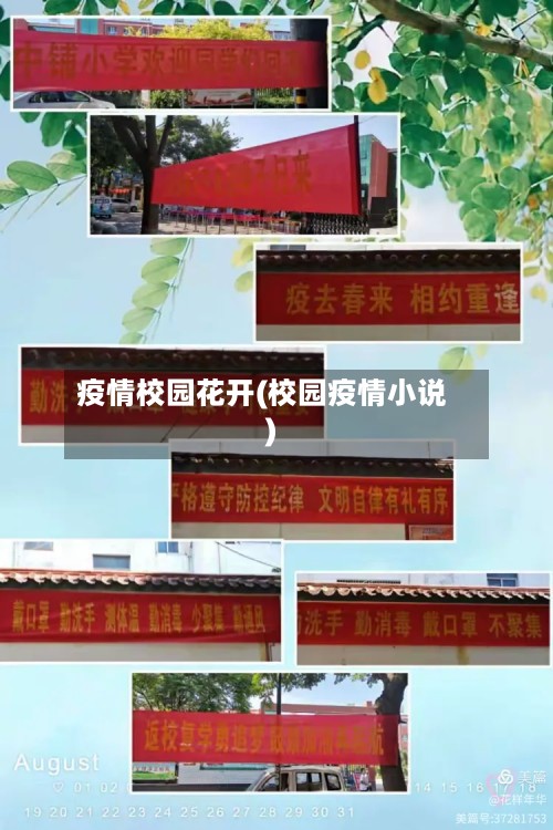 疫情校园花开(校园疫情小说)