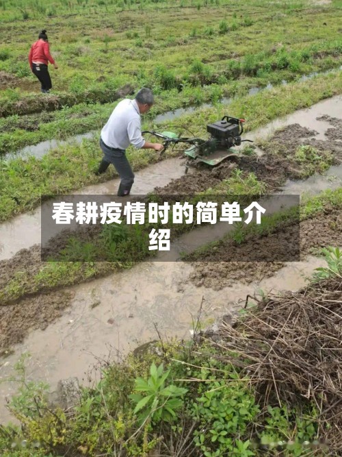 春耕疫情时的简单介绍
