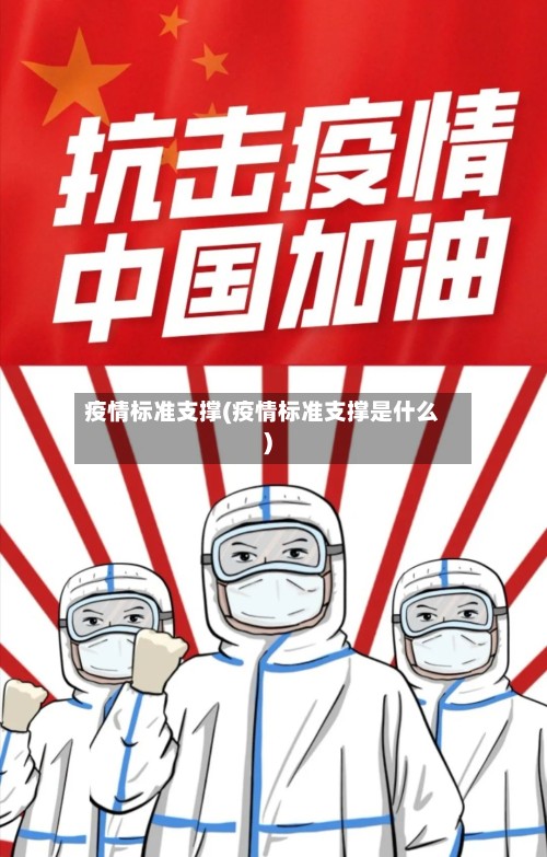疫情标准支撑(疫情标准支撑是什么)