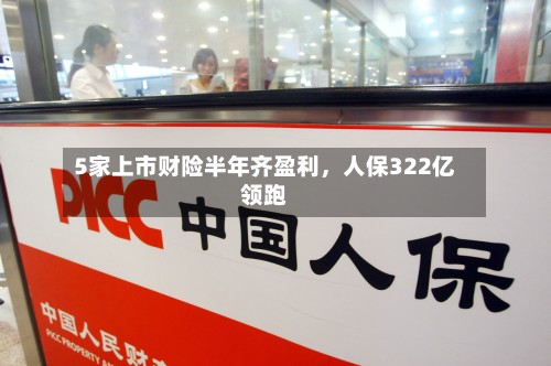 5家上市财险半年齐盈利，人保322亿领跑-第2张图片