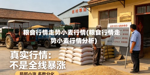 粮食行情走势小麦行情(粮食行情走势小麦行情分析)-第2张图片