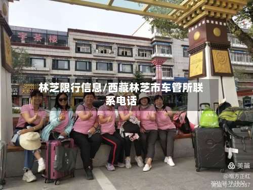 林芝限行信息/西藏林芝市车管所联系电话