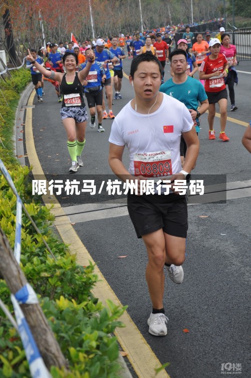 限行杭马/杭州限行号码
