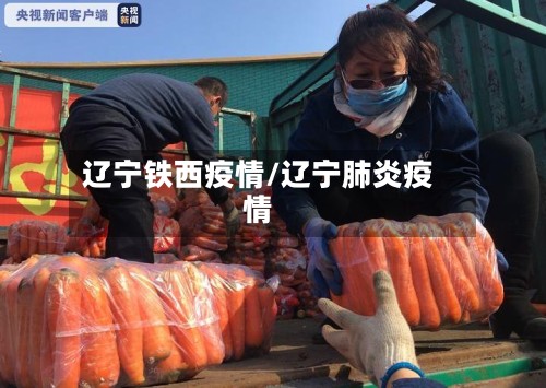 辽宁铁西疫情/辽宁肺炎疫情