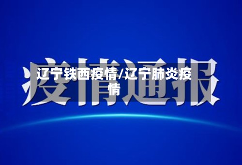 辽宁铁西疫情/辽宁肺炎疫情-第2张图片