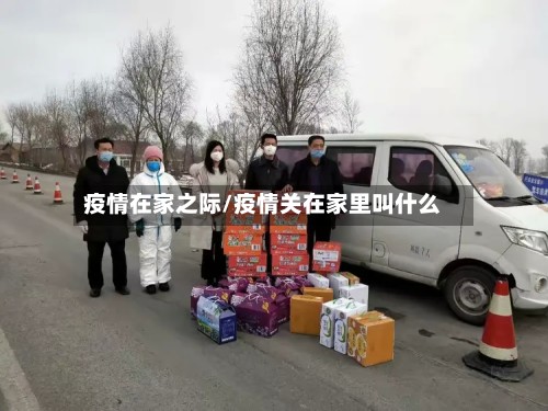 疫情在家之际/疫情关在家里叫什么