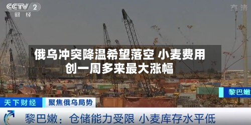 俄乌冲突降温希望落空 小麦费用创一周多来最大涨幅